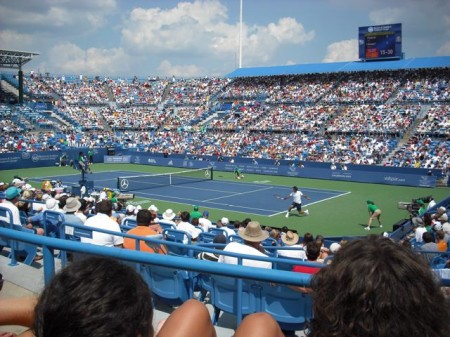 Roger Federer Playing Robby Genepri